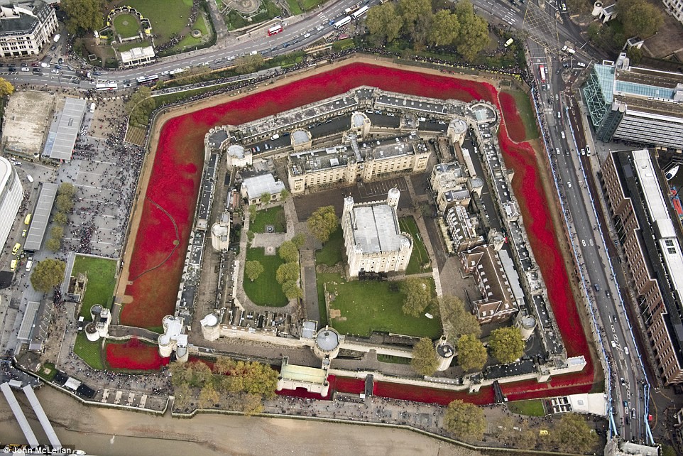 Tower Bridge Poppies