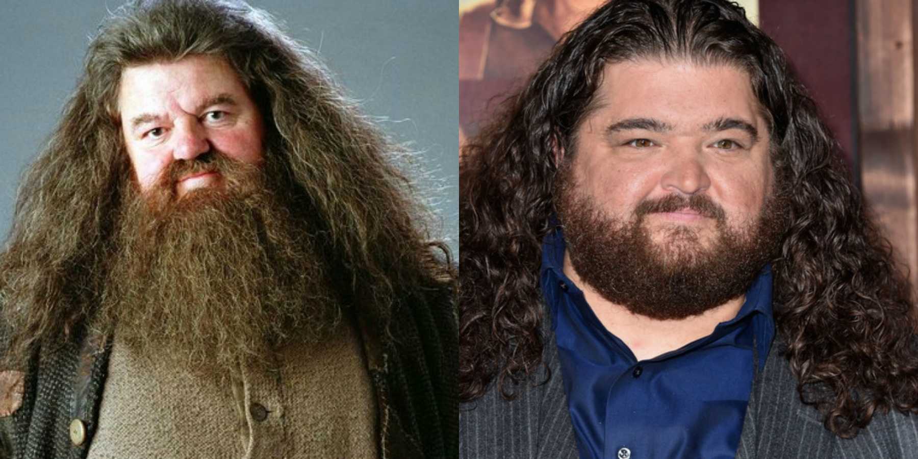 jorge garcia harry potter